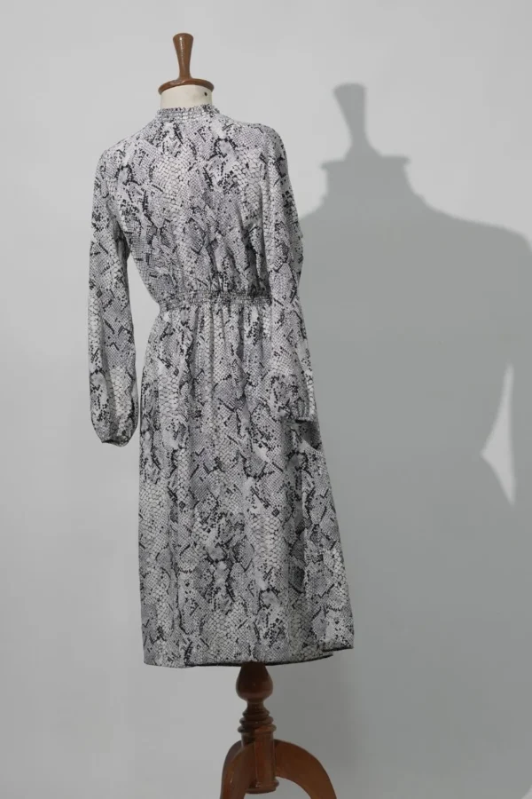 C170 - Image 2